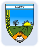 Municipalidad de Caleufú