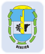 Municipalidad de Realicó